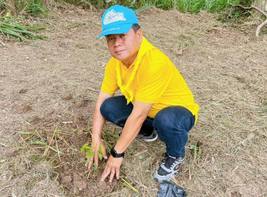 กิจกรรมปลูกต้นไม้เฉลิมพระเกียรติพระบาทสมเด็จพระเจ้าอยู่หัว ... พารามิเตอร์รูปภาพ 19